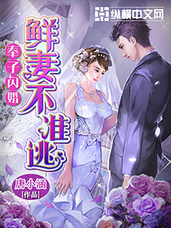 奉子闪婚：鲜妻不准逃